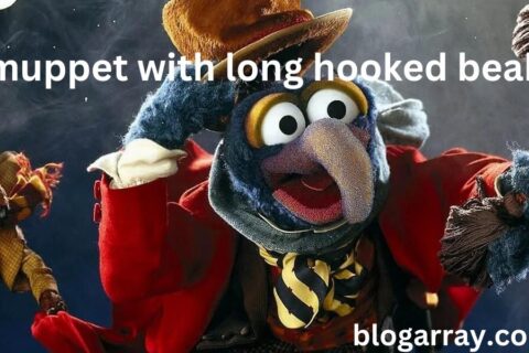 Muppet with the Long Hooked Beak