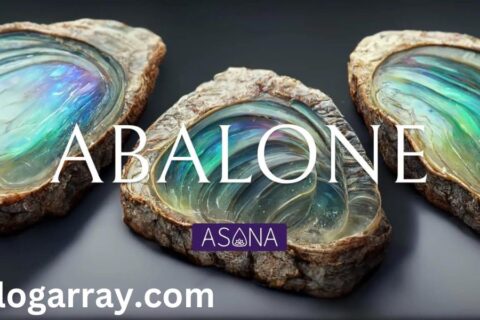 Abalone Shell