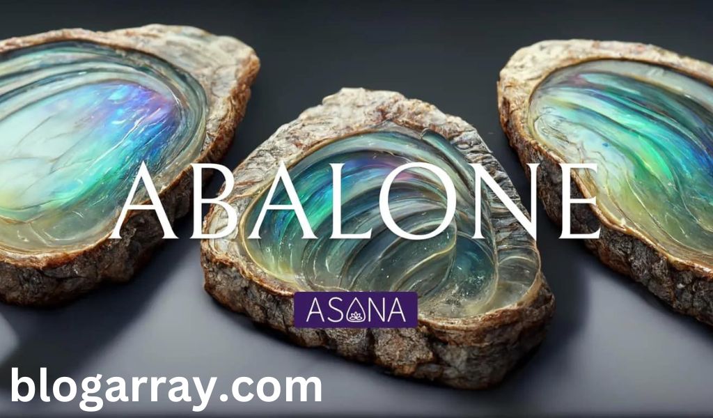 Abalone Shell