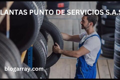 llantas punto de servicios s.a.s